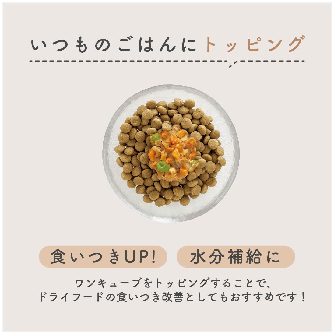 犬の手作りごはん 鯖と南瓜|シニア犬向け DHA・オメガ3 乳酸菌入り