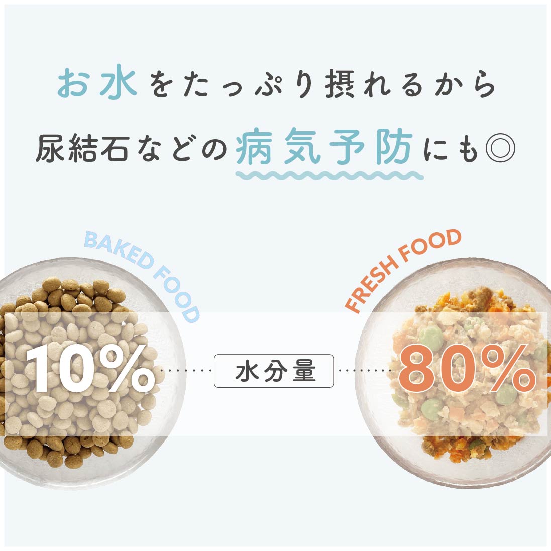 【数量限定】4種の人気キューブミックス(20キューブ)