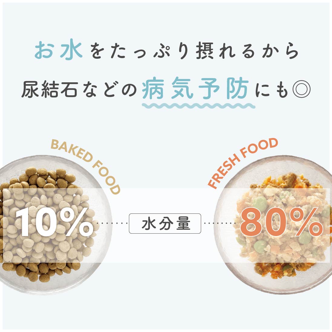 犬の手作りごはん 鯖と南瓜|シニア犬向け DHA・オメガ3 乳酸菌入り