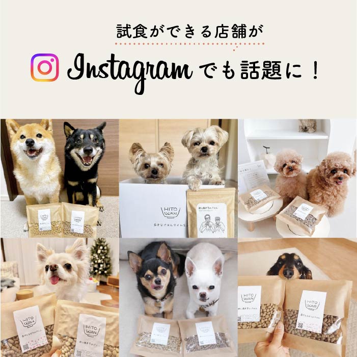 チキン ドライフード|選べる3サイズ