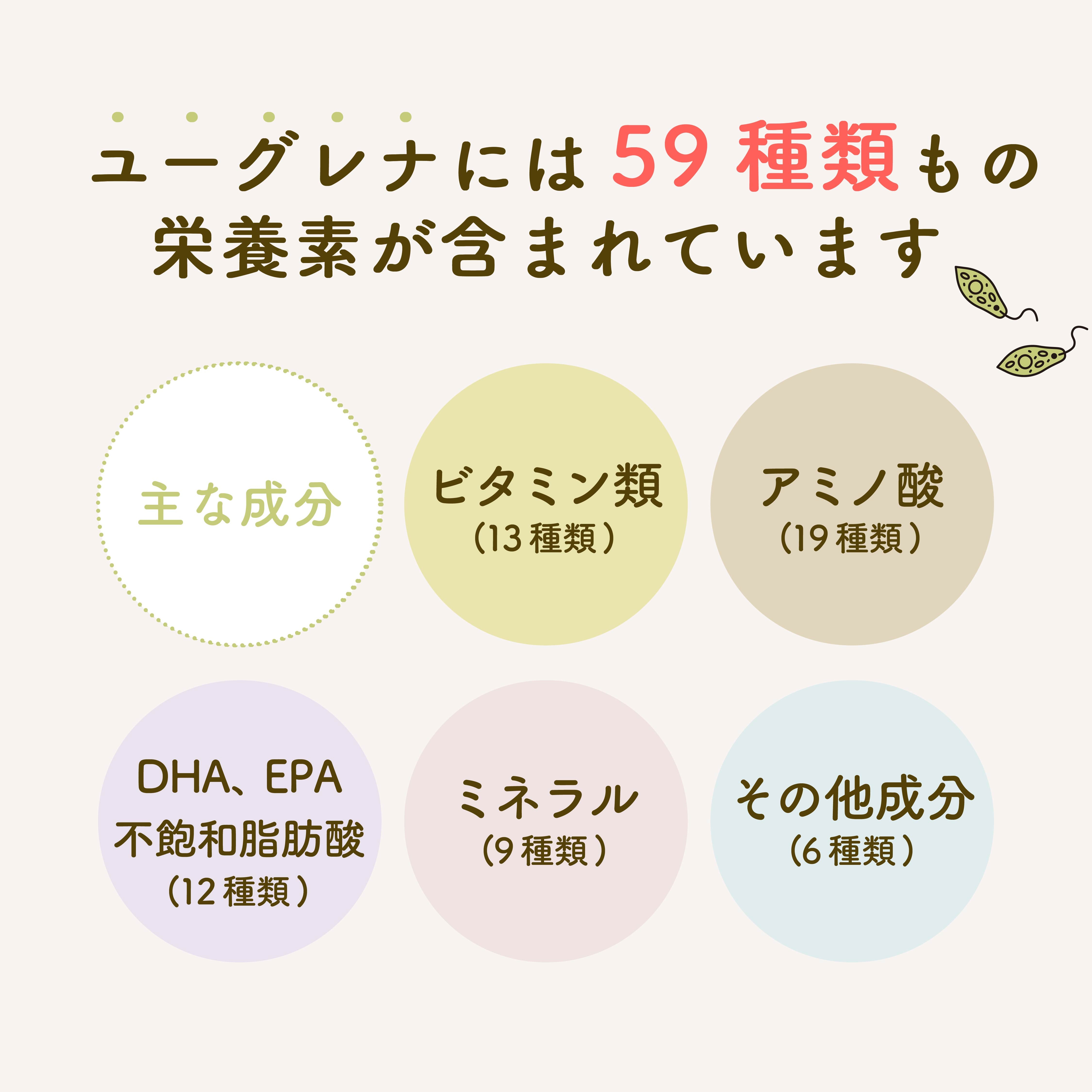 チキン ドライフード|選べる3サイズ