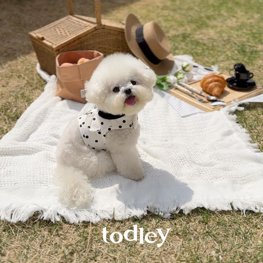 TODLEY(トドゥリー) Dot Harness