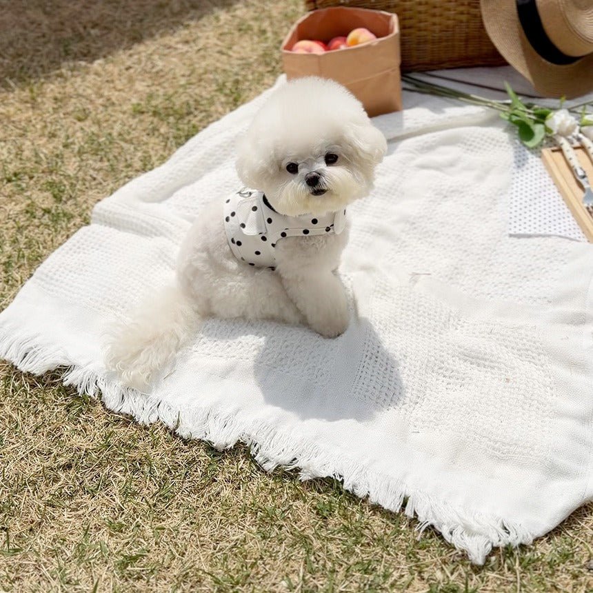 TODLEY(トドゥリー) Dot Harness