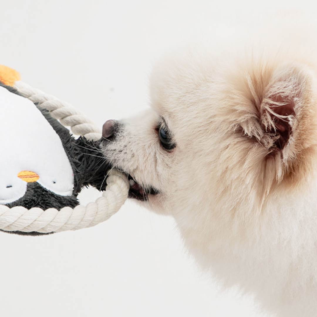 ペンギンのロープおもちゃ