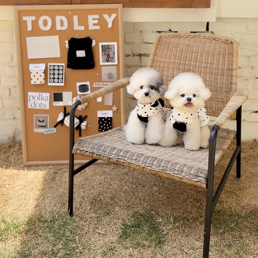 TODLEY(トドゥリー) Dot Frill Skirt