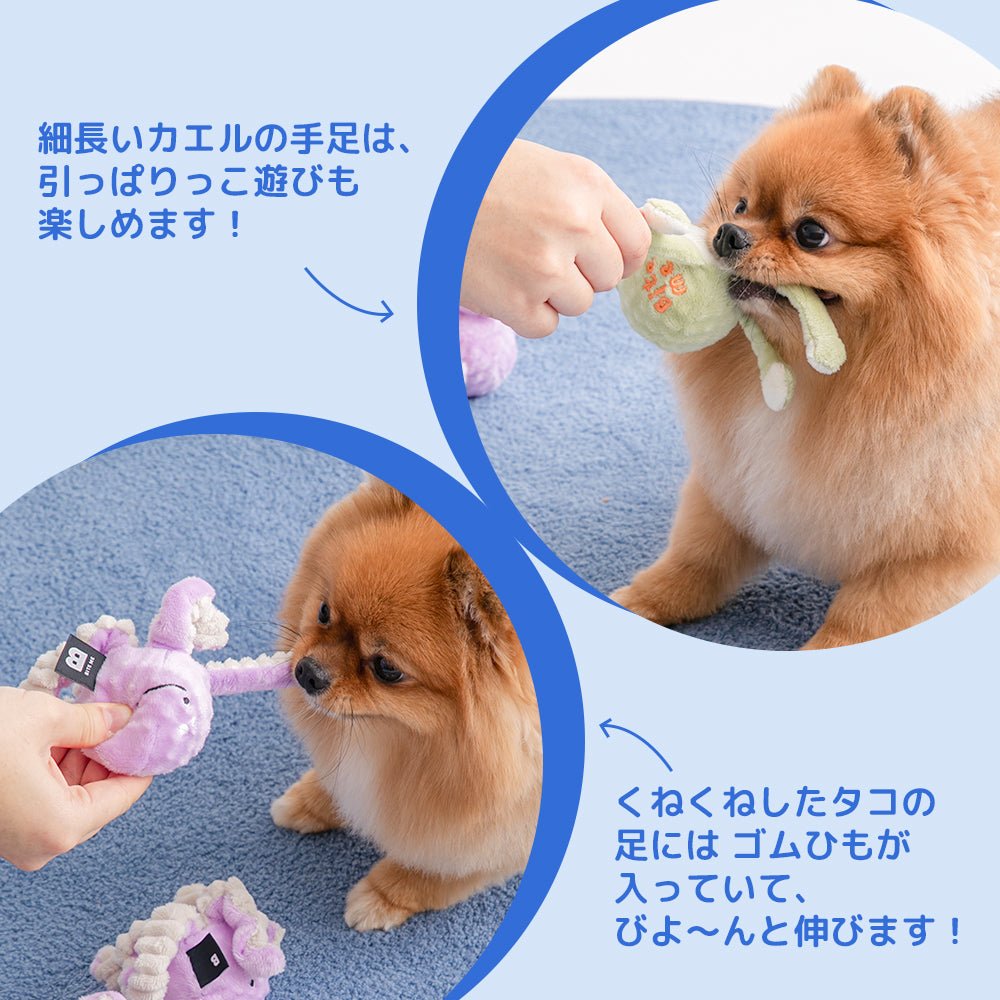 BITE ME (バイトミー) ぴょんぴょんボールおもちゃ | 音が鳴るおもちゃ