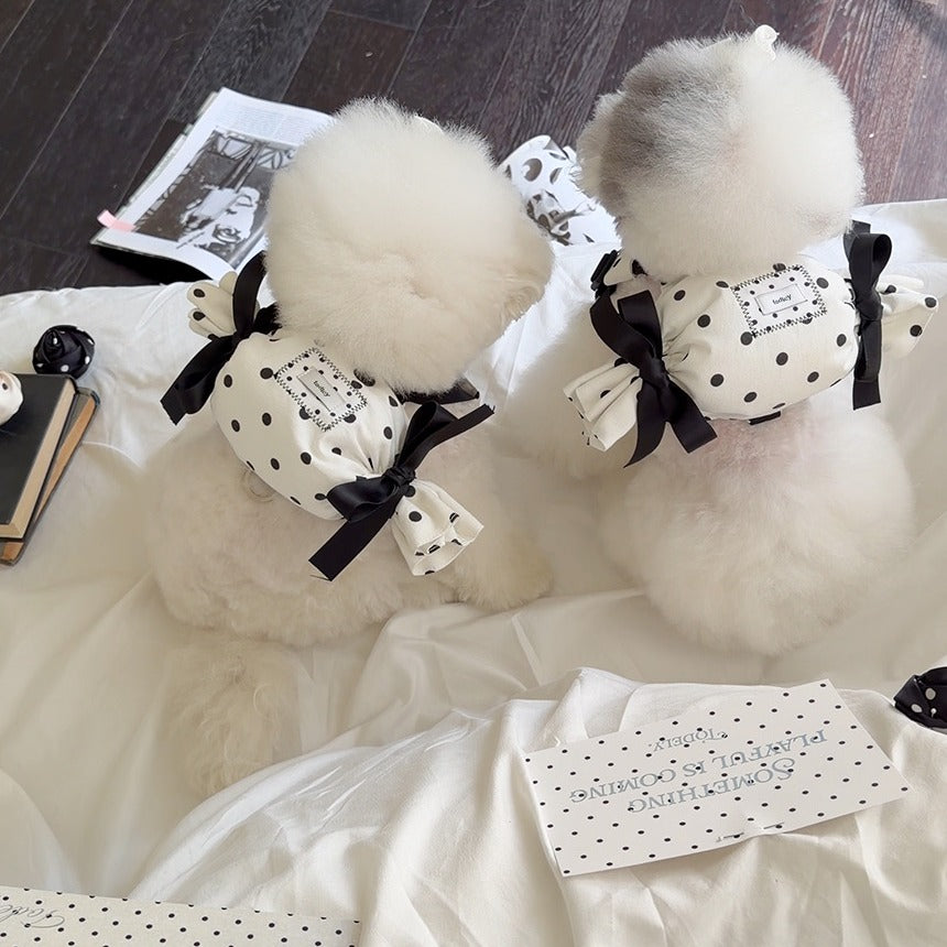 TODLEY(トドゥリー) Dot Candy Backpack