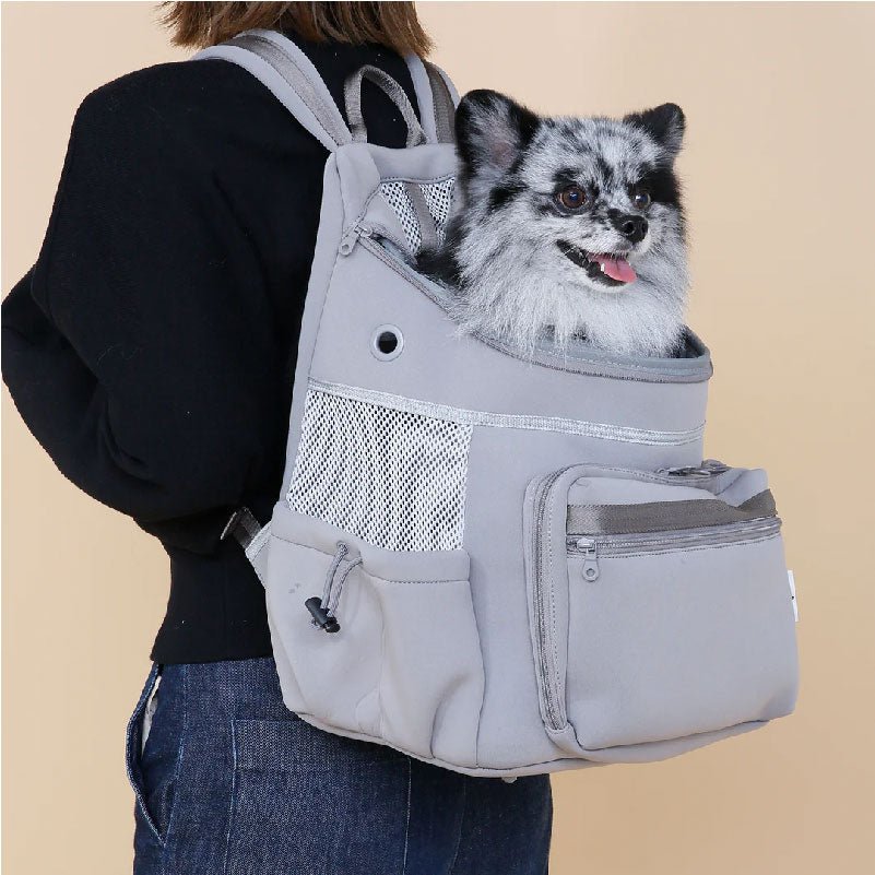 CITYDOG|ネオプレーンバックパックキャリー
