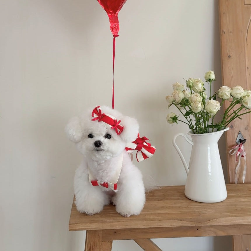 TODLEY(トドゥリー) Candy Lover Backpack
