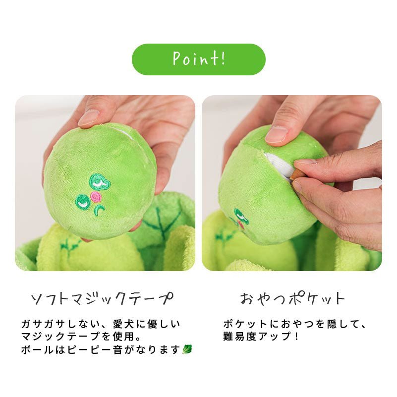 シャキシャキのキャベツ