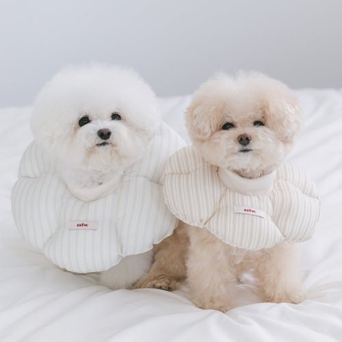 SSFW(エスエスエフダブリュー) Cloud Neck Collar(クラウド ネック カラー)