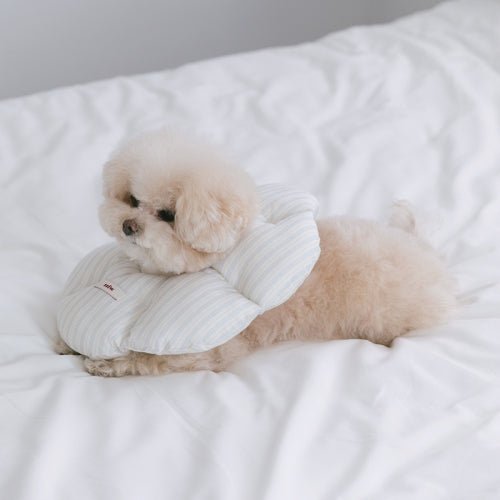 SSFW(エスエスエフダブリュー) Cloud Neck Collar(クラウド ネック カラー)