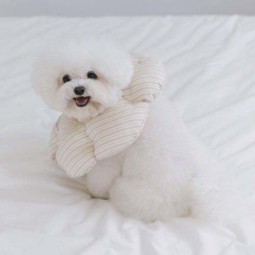 SSFW(エスエスエフダブリュー) Cloud Neck Collar(クラウド ネック カラー)