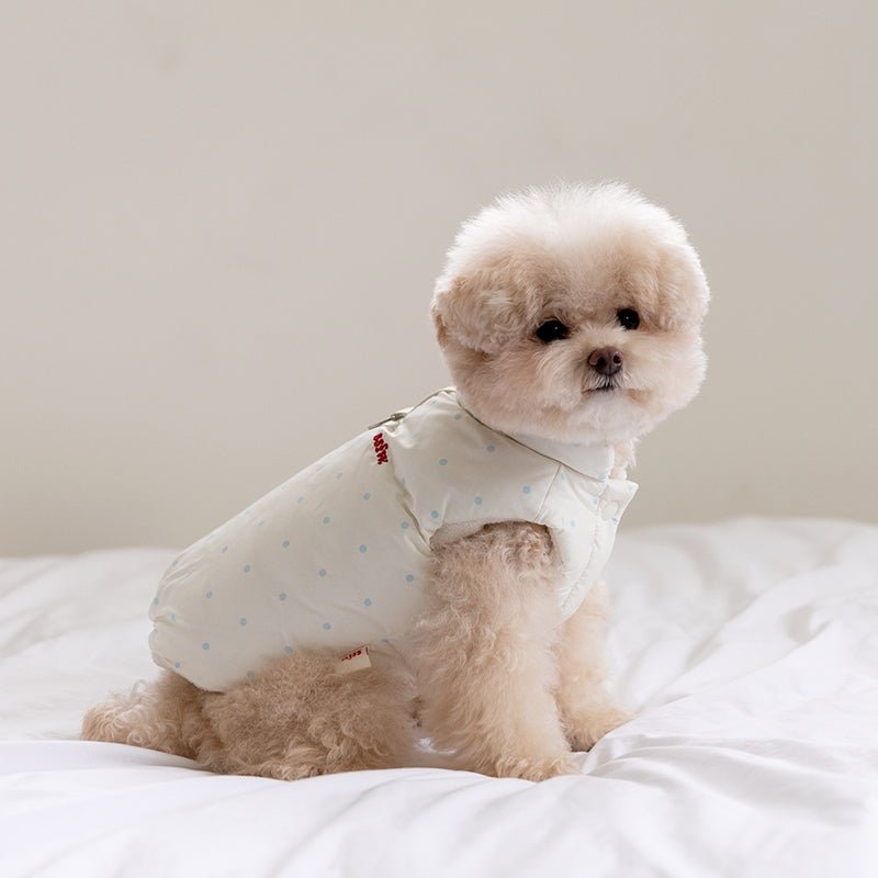 SSFW(エスエスエフダブリュー) モングル リバーシブル ダウンジャケット