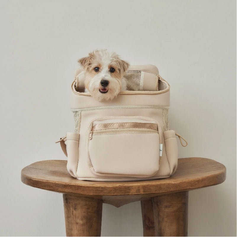 CITYDOG ネオプレーンバックパックキャリー　モカ　Mサイズ Amazon.co.jp: [citydog/シティドッグ] ネオプレーンバック