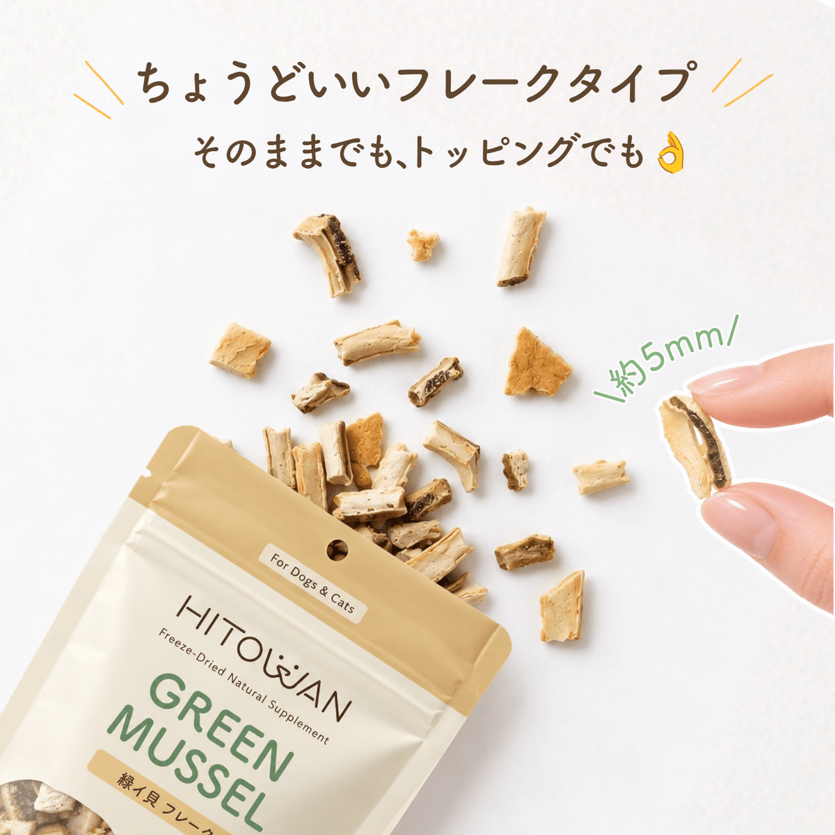 緑イ貝 | フリーズドライトリーツ