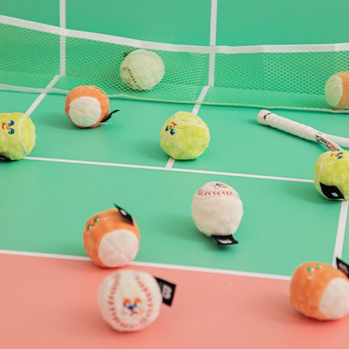 スポーツボール