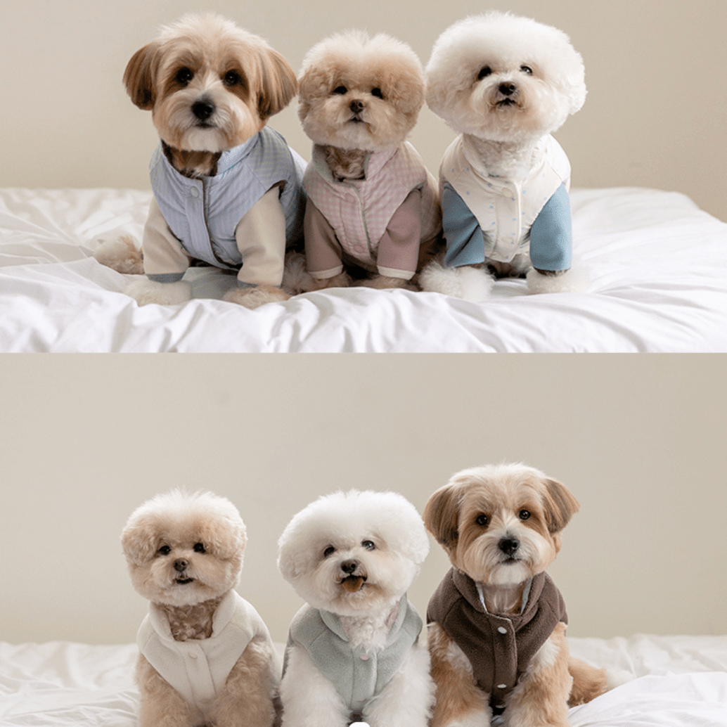 SSFW(エスエスエフダブリュー) モングル リバーシブル ダウンジャケット