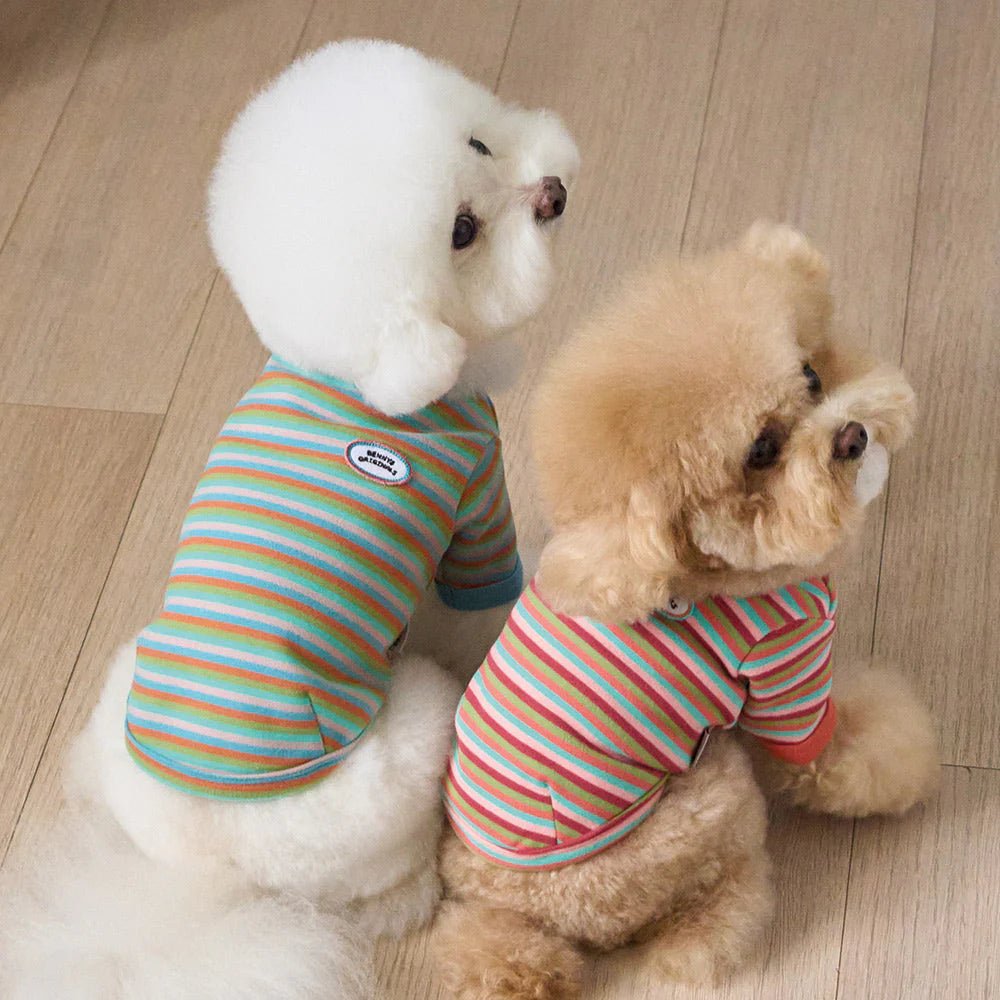 BENNYS(べニーズ) モデスト Tシャツ