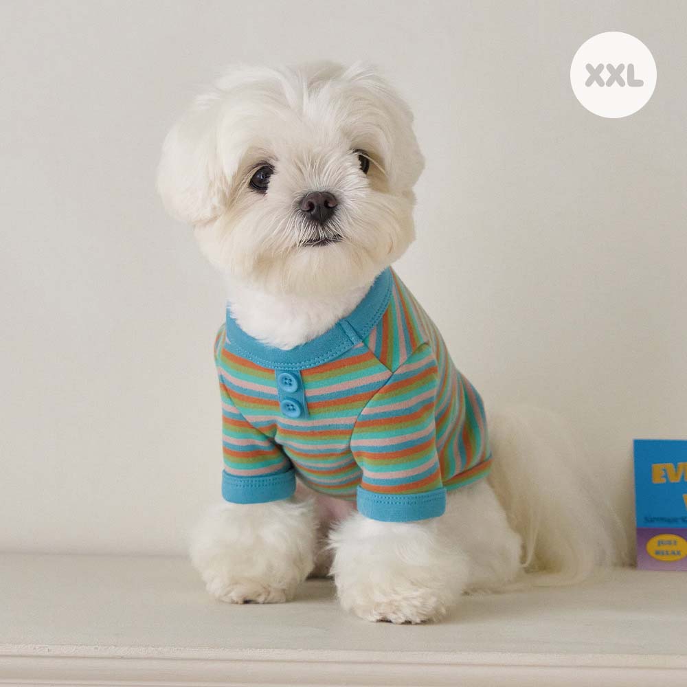 BENNYS(べニーズ) モデスト Tシャツ