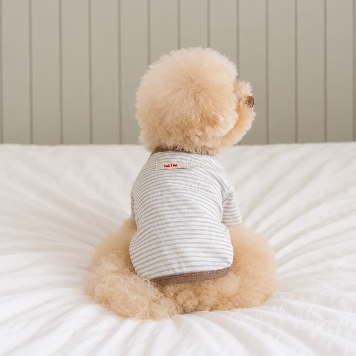 SSFW(エスエスエフダブリュー) メロウ ストライプTシャツ