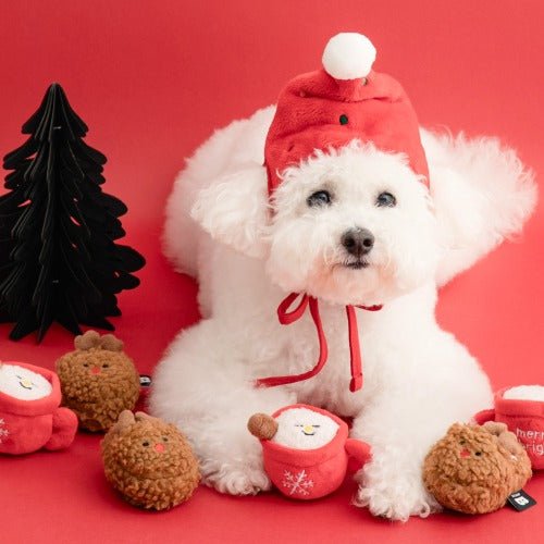 【送料無料】クリスマストイ+おやつ2袋セット