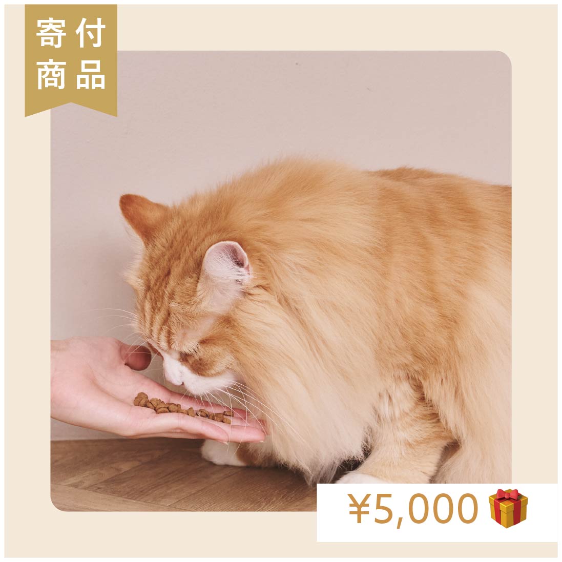 【5,000円分寄付】1フードfor1スマイル|ヒトワンのごはん