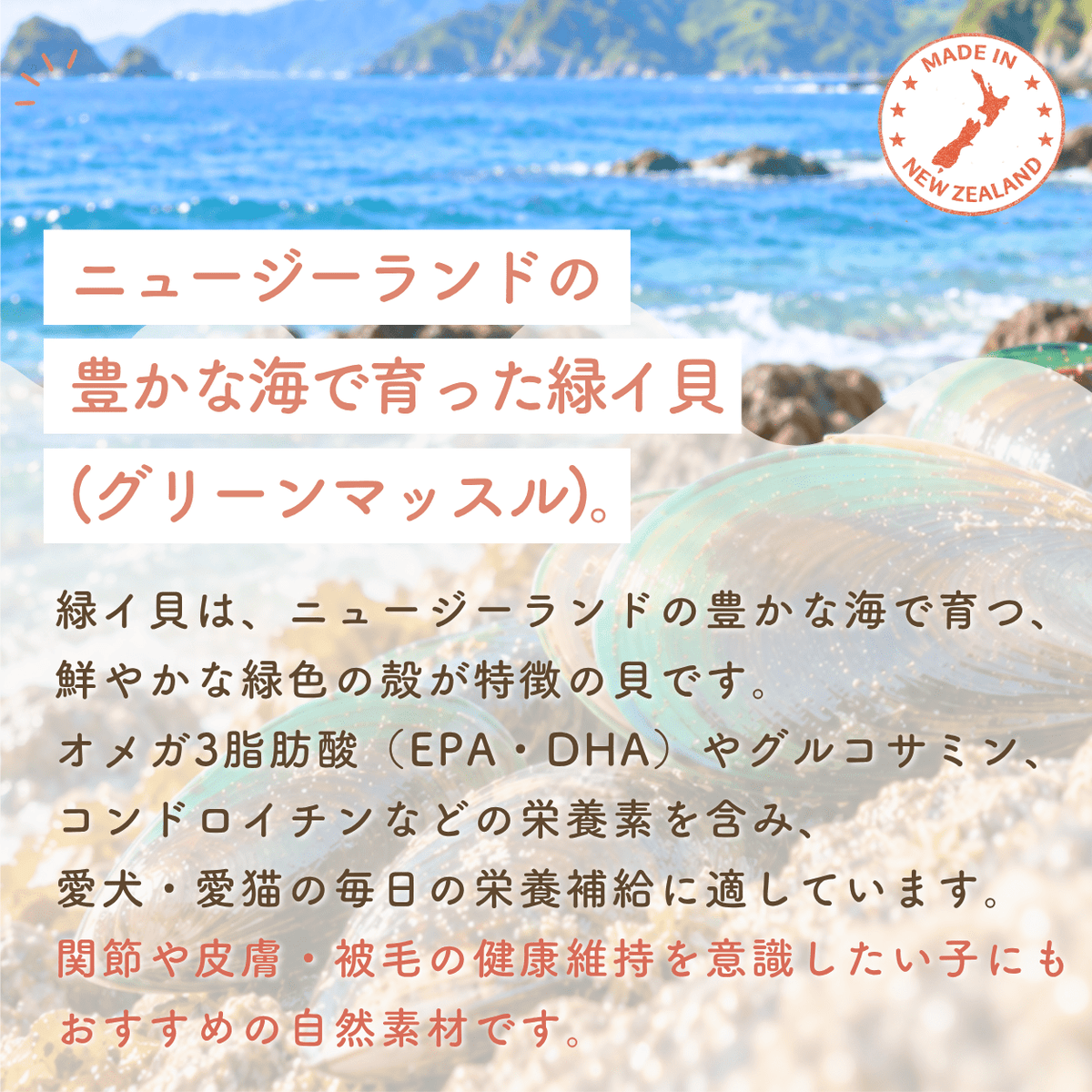 緑イ貝 | フリーズドライトリーツ