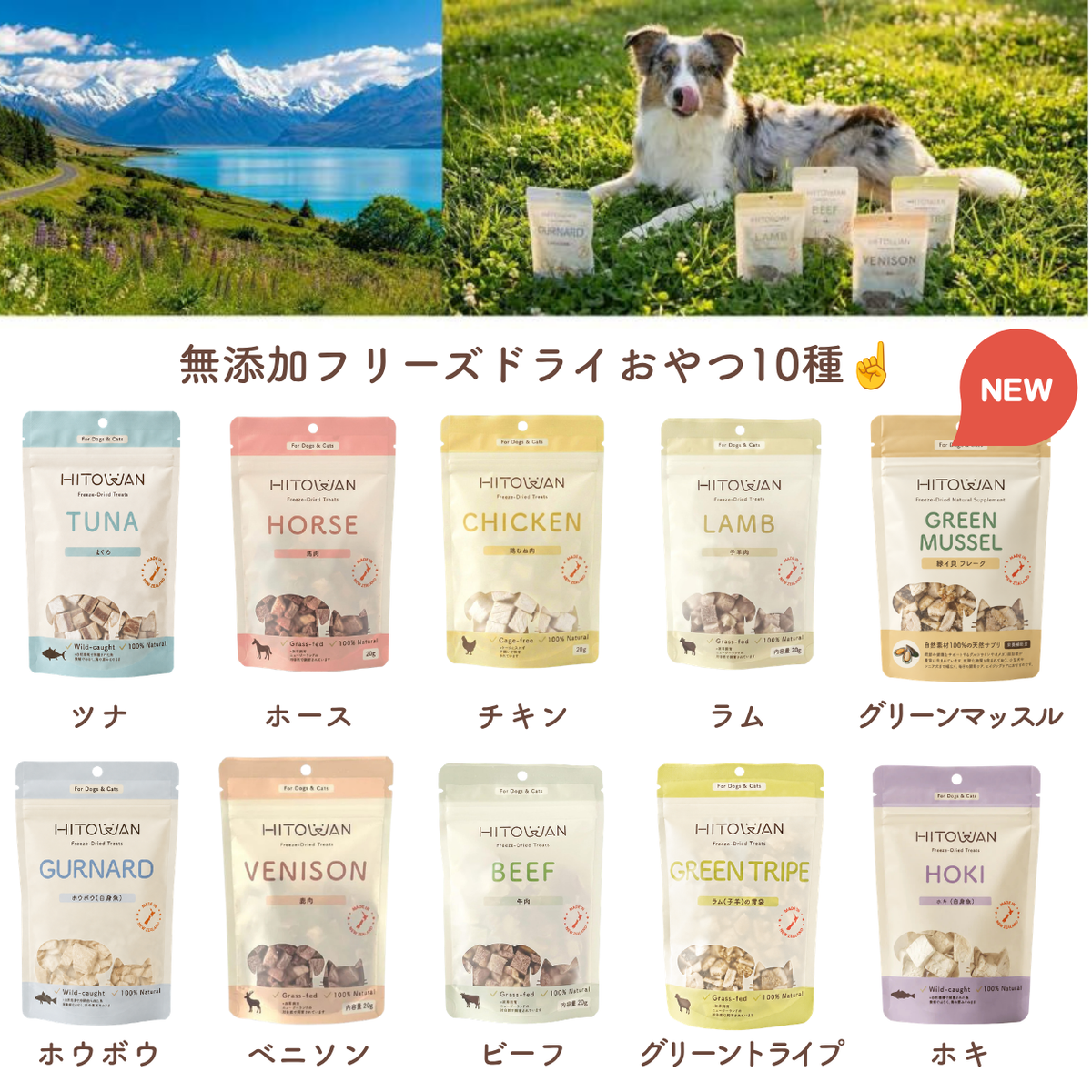 緑イ貝 | フリーズドライトリーツ