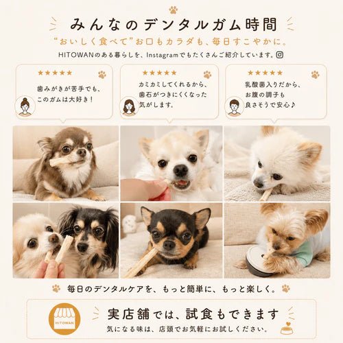 【定期便】乳酸菌デンタルガム(ショート)10本×3袋セット