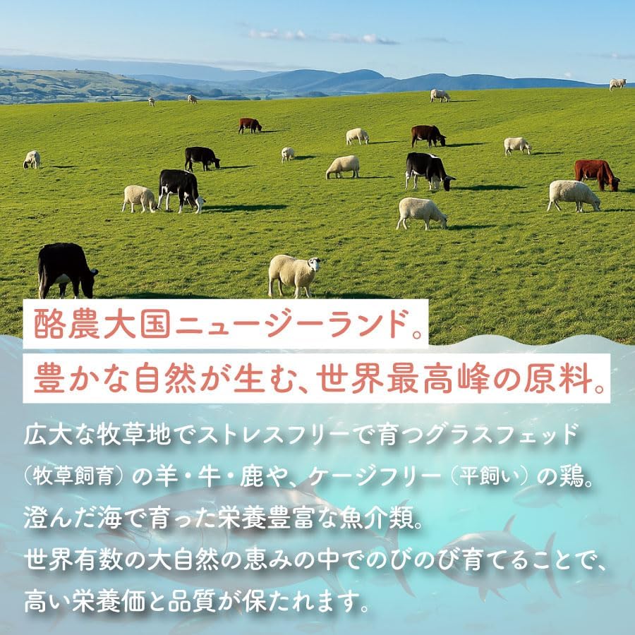 ビーフ | フリーズドライトリーツ (猫用)