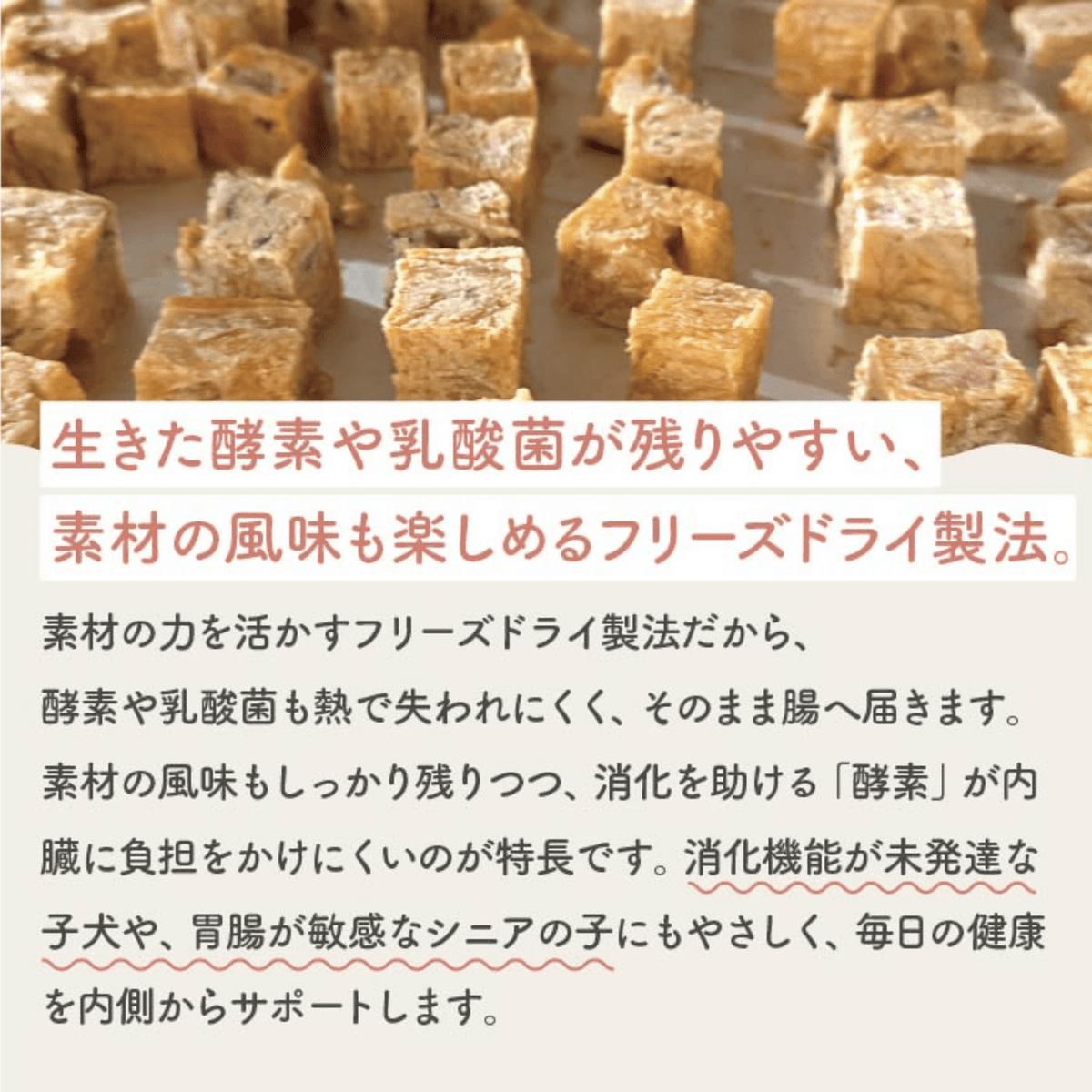 緑イ貝 | フリーズドライトリーツ