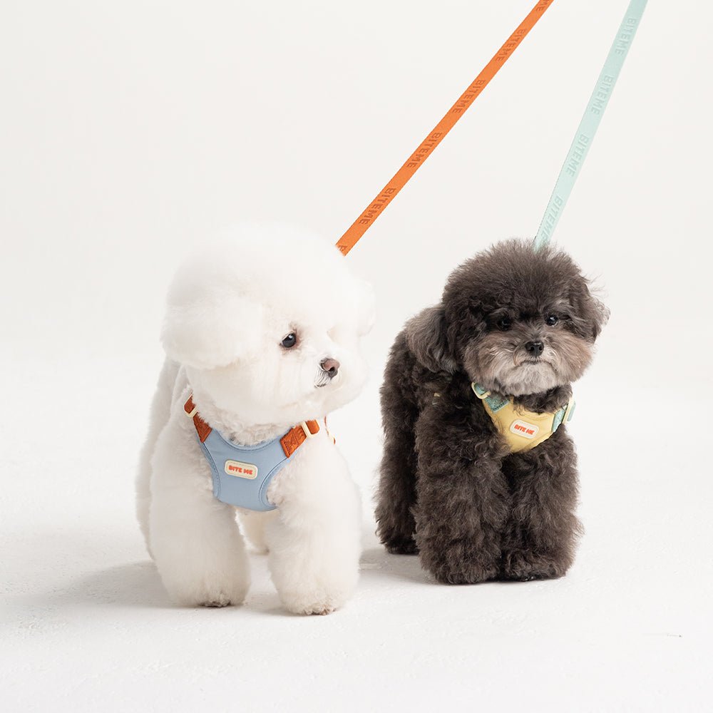 biteme (バイトミー) コンフォートーリード v2