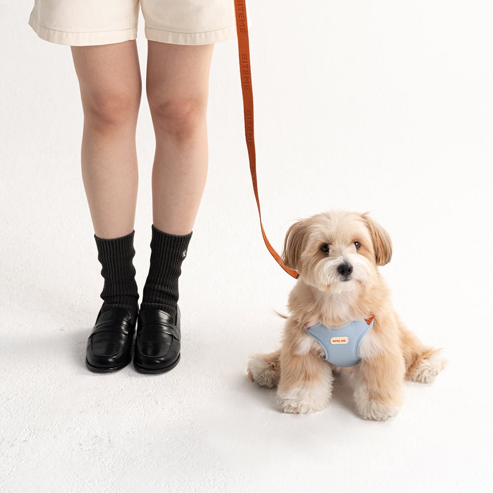 biteme (バイトミー) コンフォートーリード v2