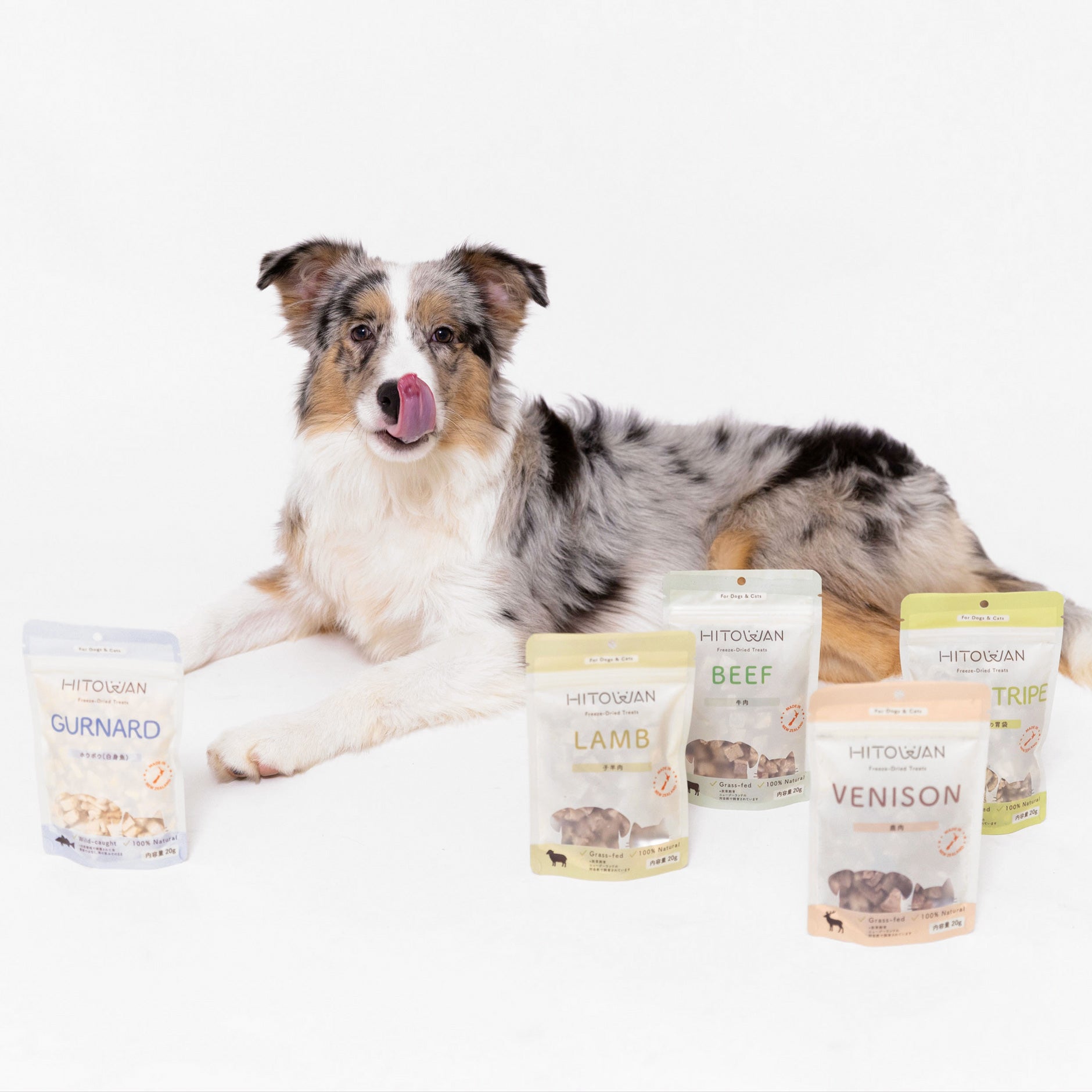 ラムグリーントライプ(子羊の胃袋) | フリーズドライ栄養補助食