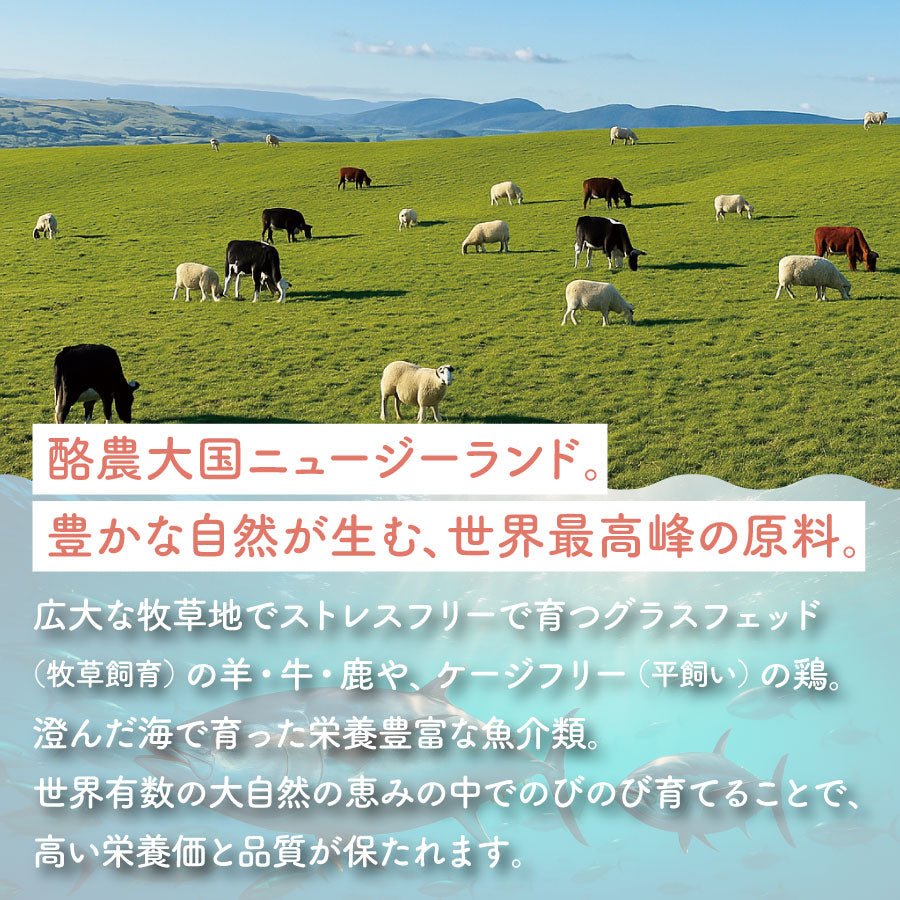 生食フリーズドライ ラム&キングサーモン | 選べる3サイズ