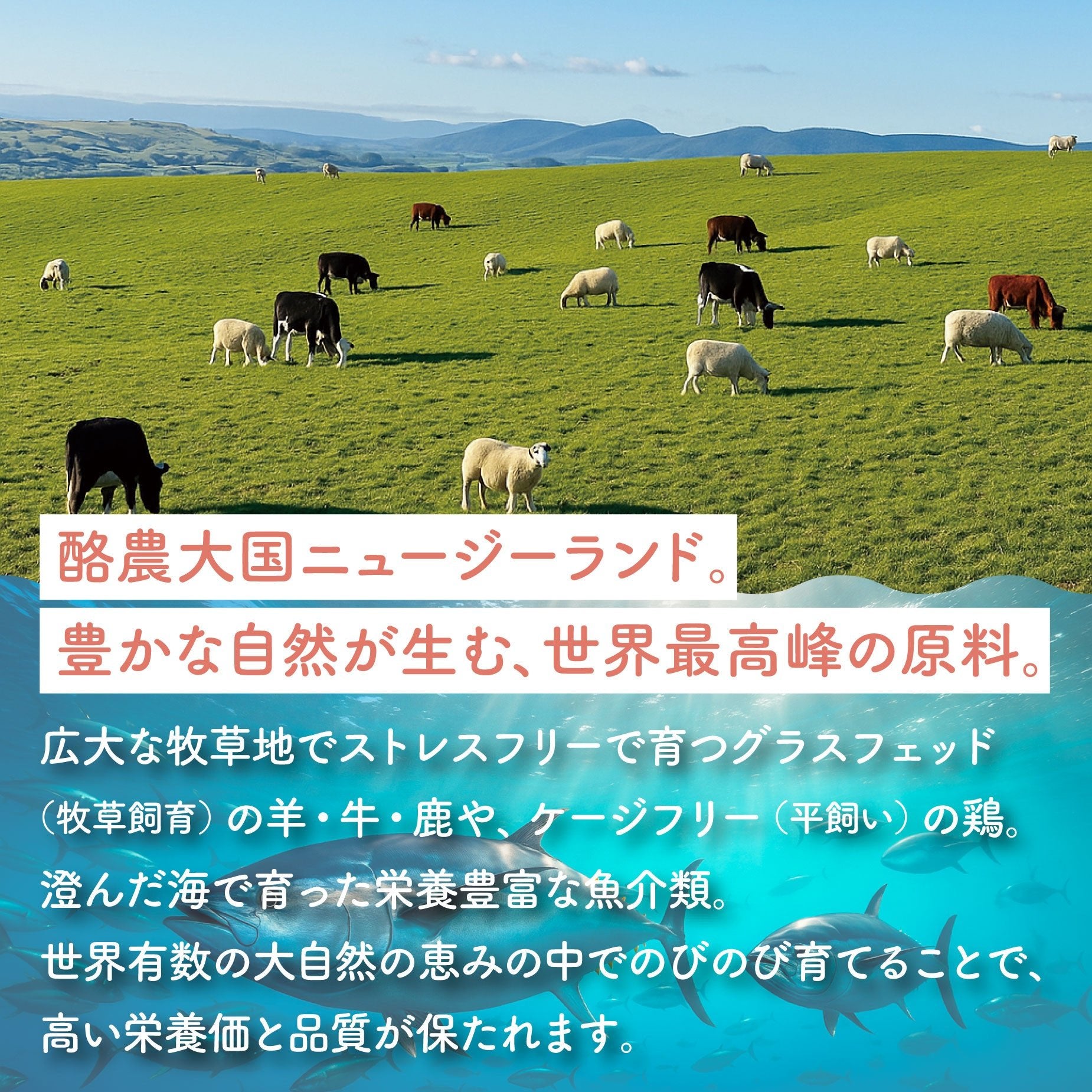 ツナ | フリーズドライトリーツ