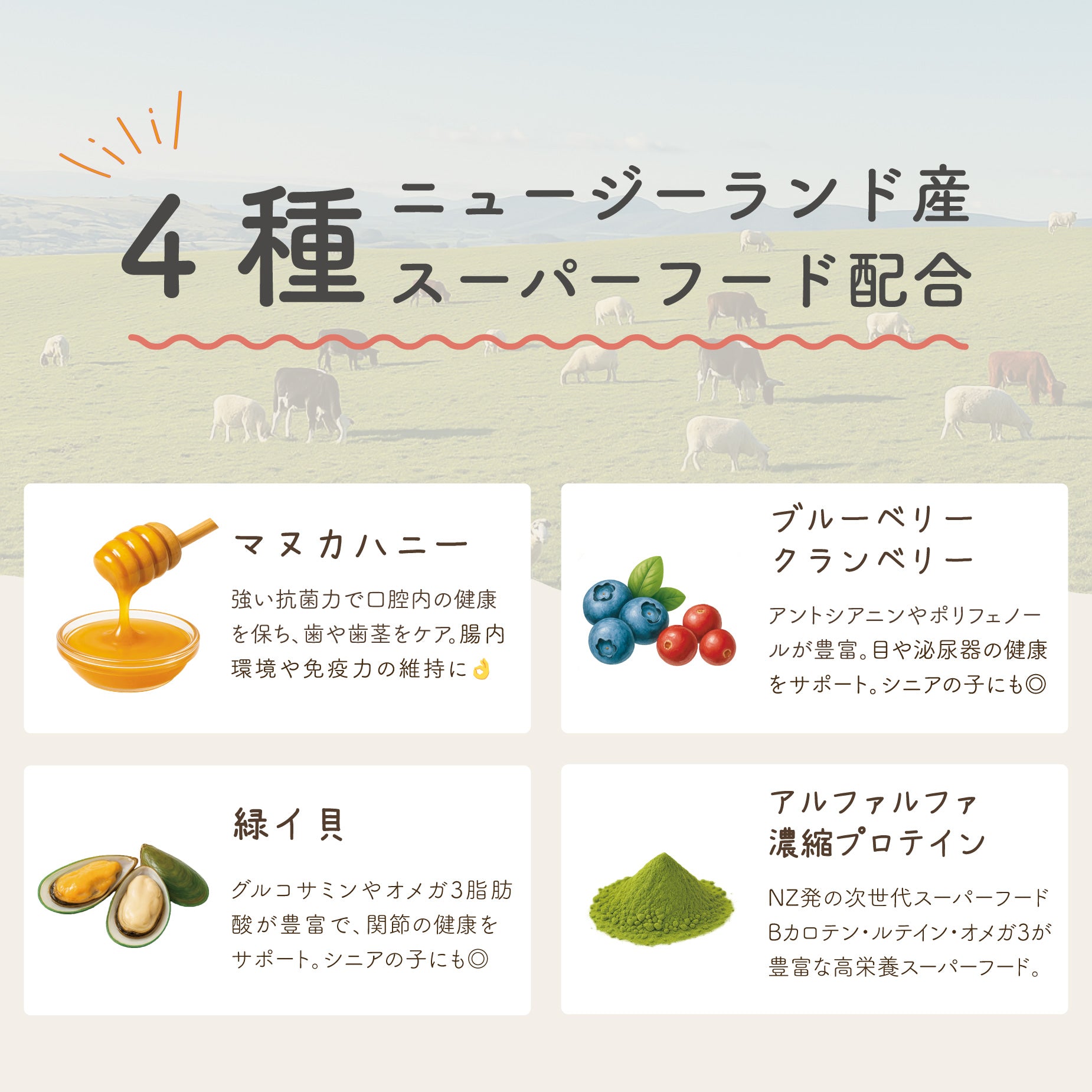 【送料無料!!】初回限定 | フリーズドライのお試しセット(ベニソン / ビーフ / ラム&サーモン)