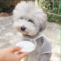 乳酸菌ヤギミルク(低脂肪)