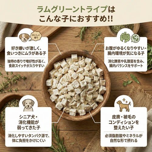 【定期便】ラムグリーン トライプ (子羊の胃袋) | フリーズドライ栄養補助食 3袋セット
