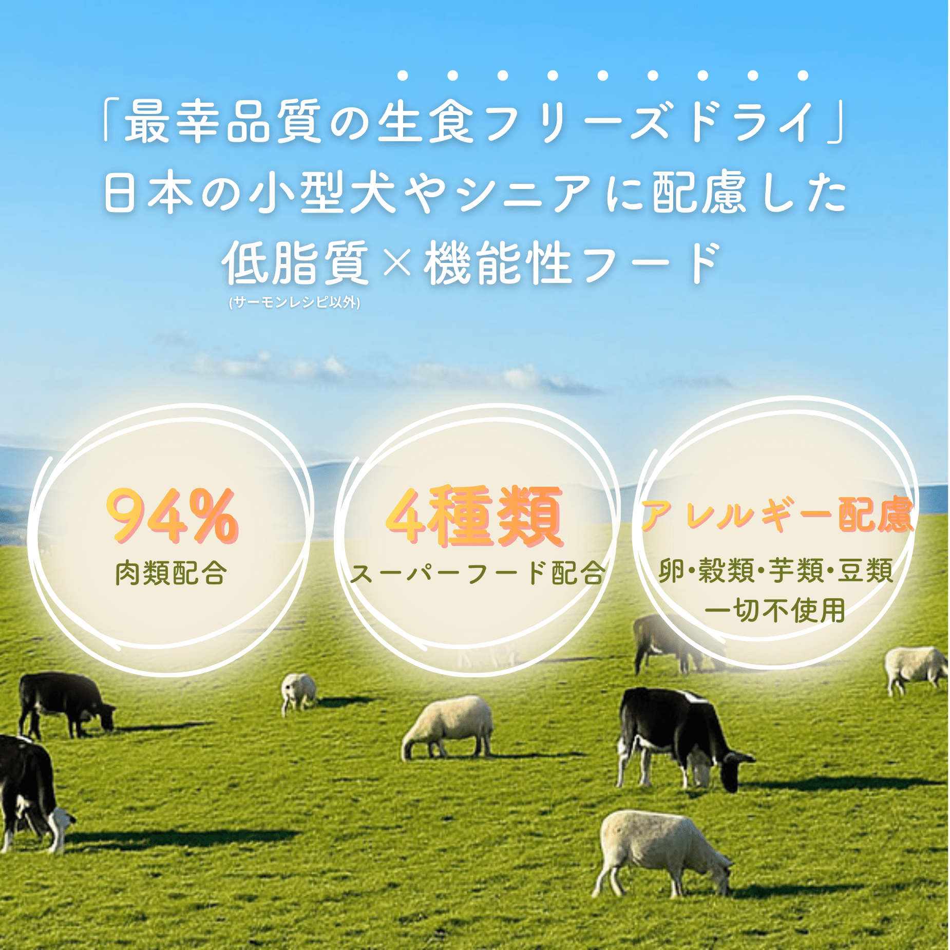 生食フリーズドライ ビーフ | 選べる3サイズ