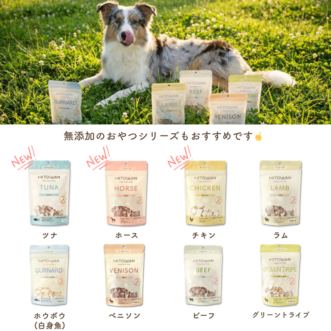 生食フリーズドライ ラム&キングサーモン | 選べる3サイズ