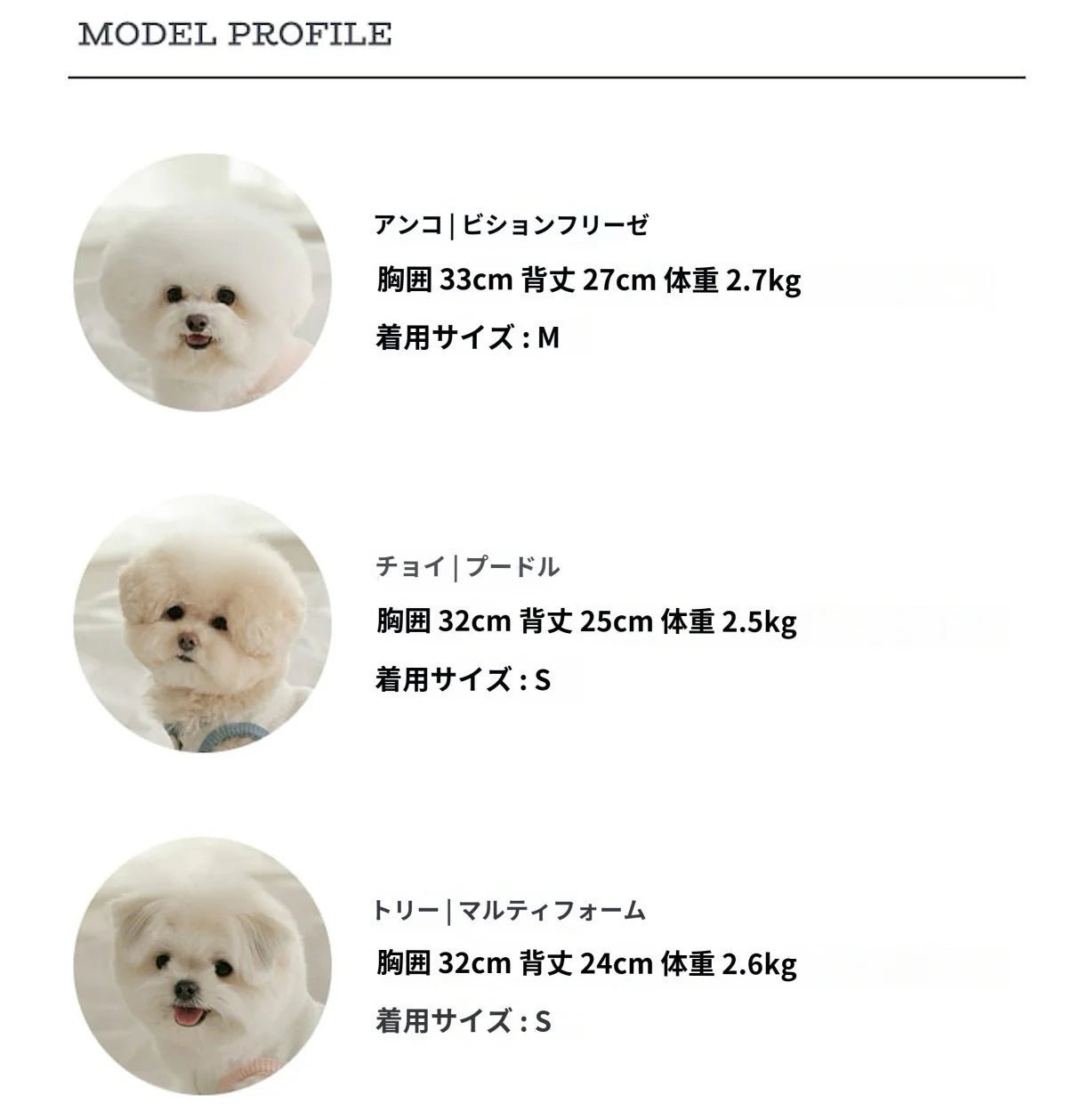 SSFW(エスエスエフダブリュー) Easy Cozy All in One (イージーコージー オールインワン)(3colors)