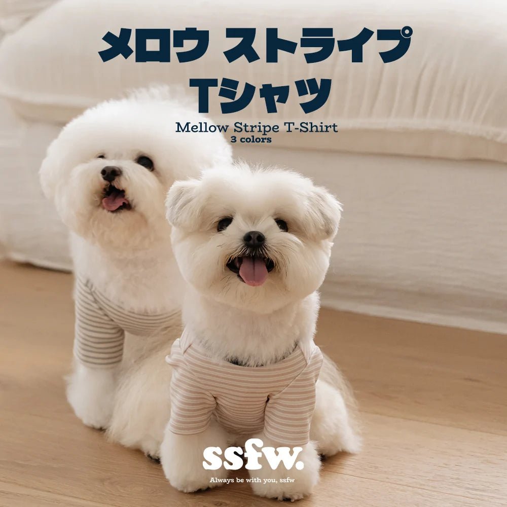 SSFW(エスエスエフダブリュー) メロウ ストライプTシャツ