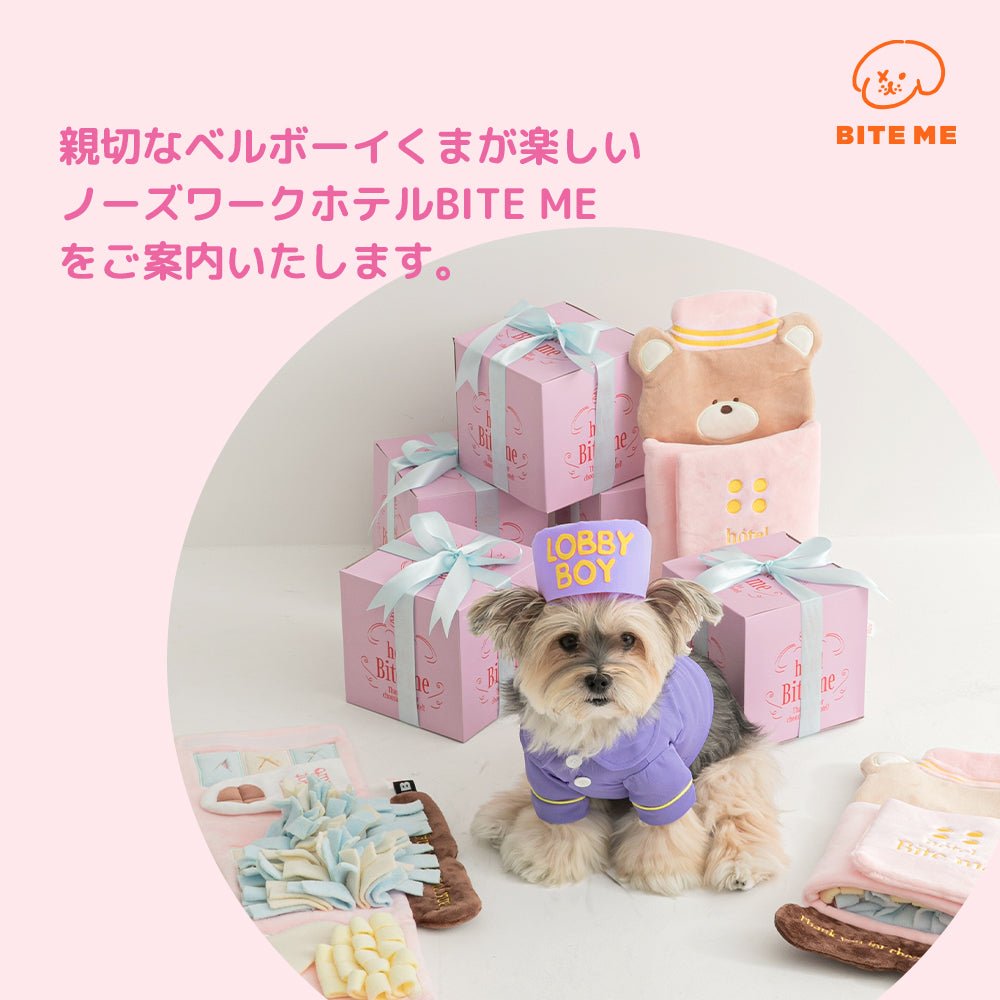 くまさんノーズワークマット