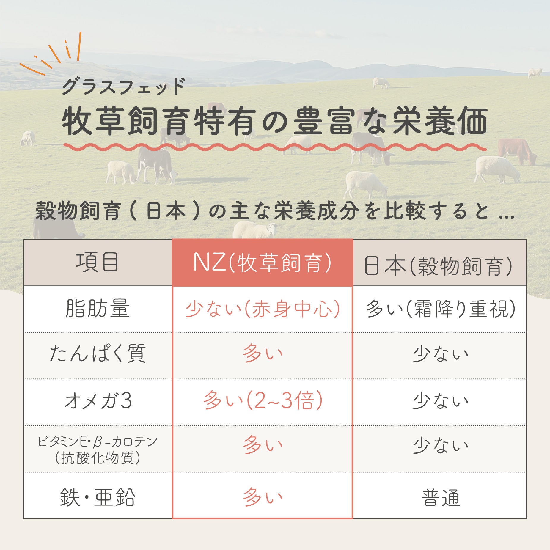 【送料無料!!】初回限定 | 3種の食べ比べお試しセット(ベニソン / ビーフ / ラム&サーモン)生食フリーズドライ