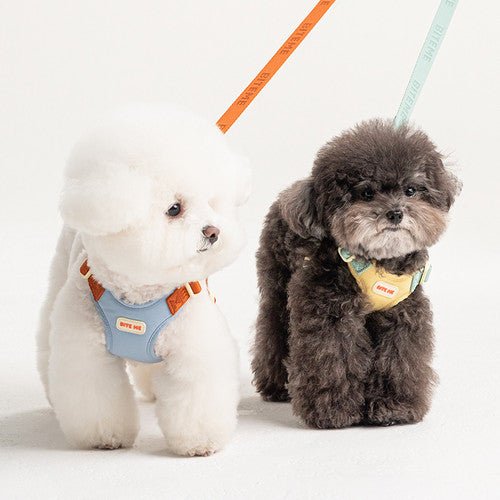 biteme (バイトミー) コンフォートーリード v2