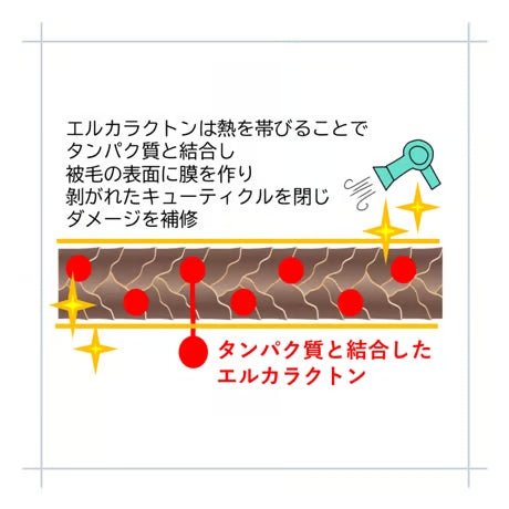 ブラッシングスプレー