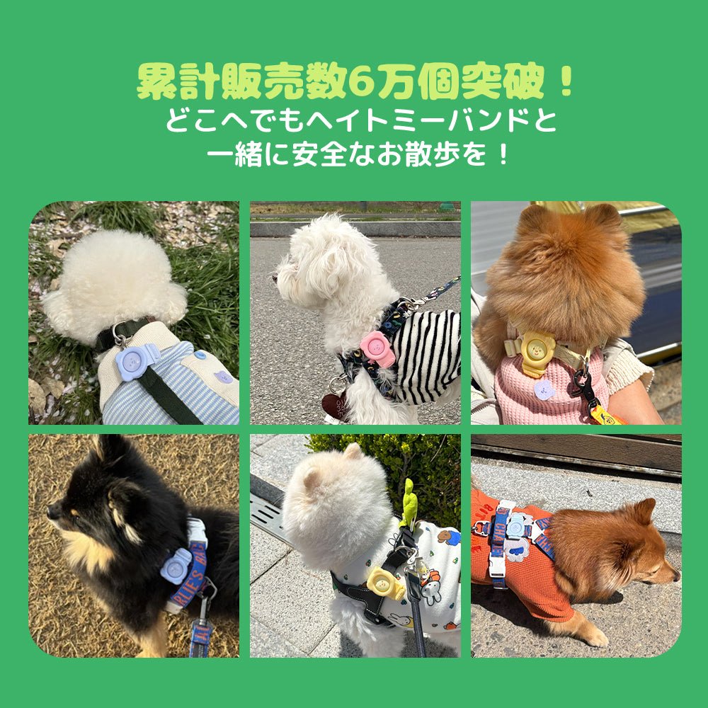 虫除けバンド