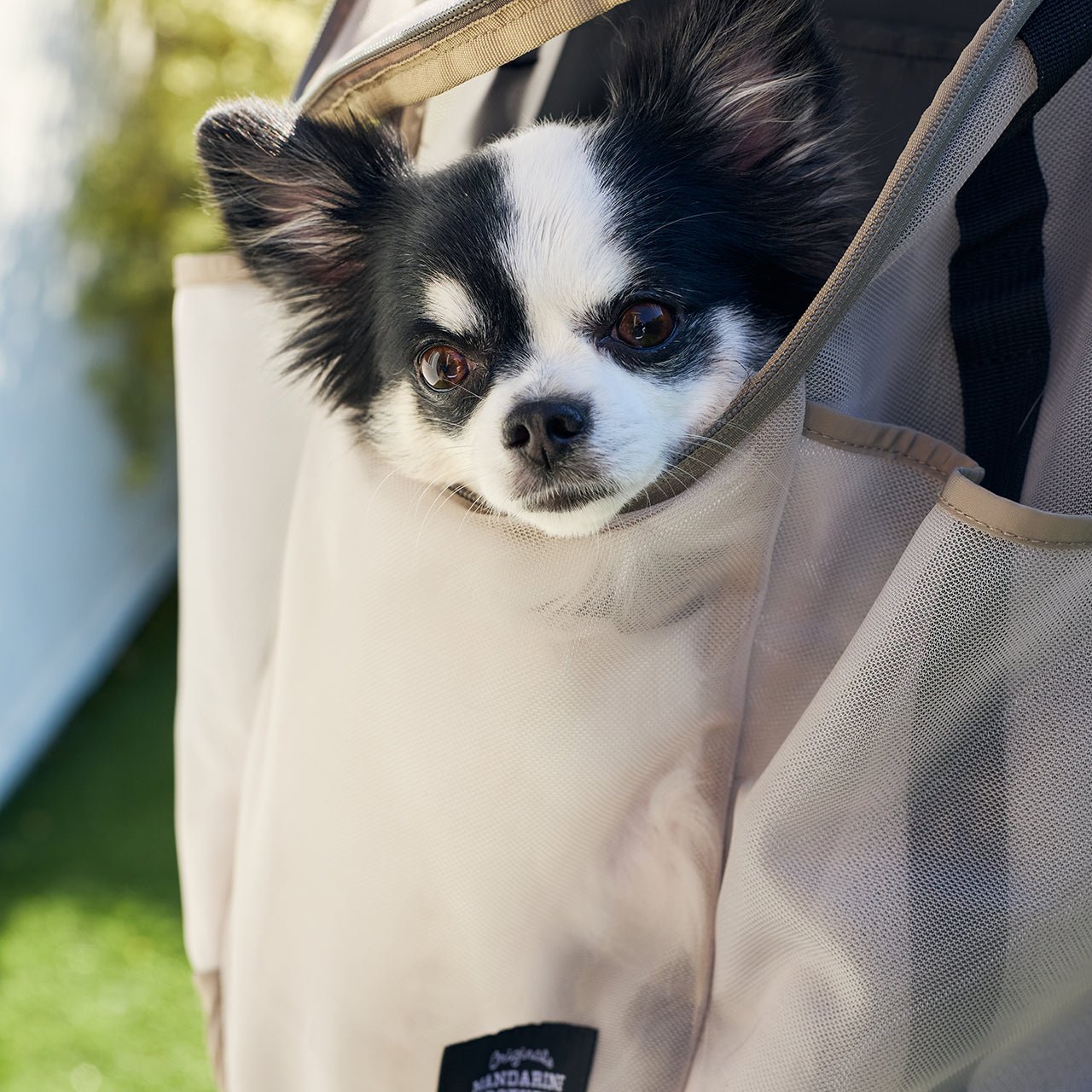 MANDARINE BROTHERS(マンダリンブラザーズ) MESH WINSTON HUG BAG メッシュウィンストンハグバッグ